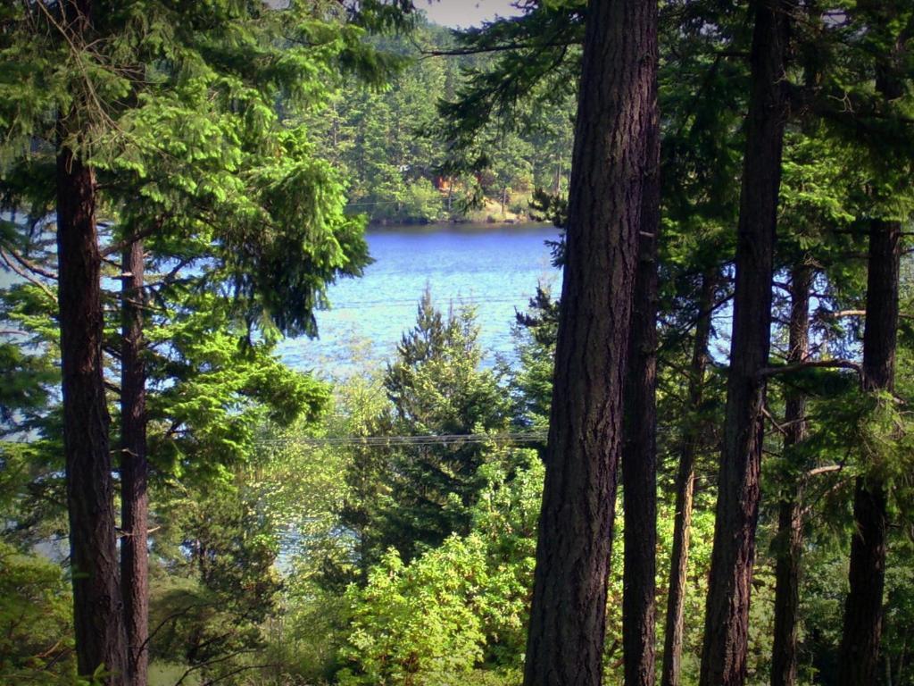Inn To The Woods Friday Harbor Exteriér fotografie